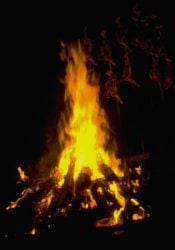 Bonfire - 1