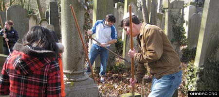 Students from the University of Illinois at Urbana-Champaign help clean up a Berlin Jewish cemetery.