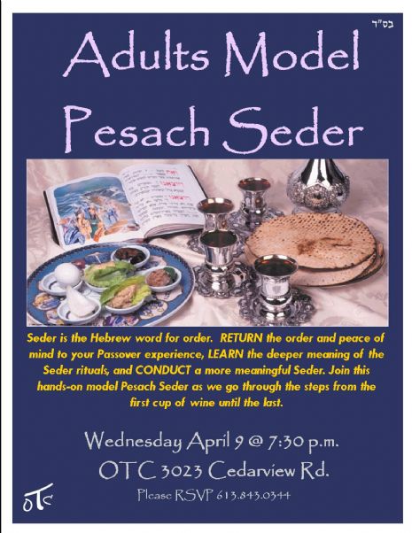 Model Seder Adults.jpg