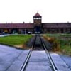 Os Judeus não Morreram em Auschwitz