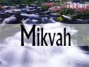 Mikvah Israel