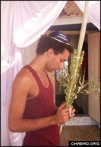An Israeli visitor makes a blessing on the Four Species in the sukkah set up outside the Mumbai, India, Chabad House during the holiday of Sukkot.