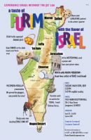 Purim In Israel 09
