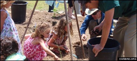 Aleph Bet Preschool students Katherine Hedrick, Sofia Wallace and Rachel Rabinowitz help Daniel Wilson and Eric Wallace in the construction of S. Barbara, Calif.’s James Ax Organic Home Food Forest. (Photo DeAnn Bauer)