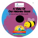 Video: A View of Our Hebrew School, From a Bee on the Wall