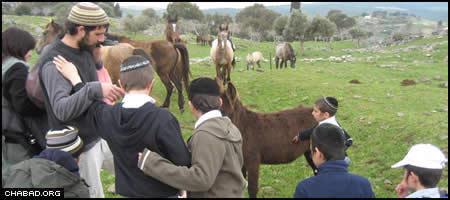 At-risk students from Safed, Israel, participate in a field trip as part of an after-school program run by Colel Chabad.