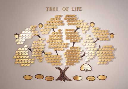 tree of life.jpg