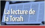 The Torah Reading