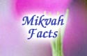 Mikvah Facts