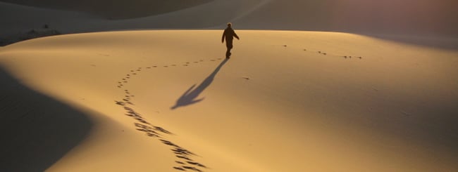 Comentaristas de la Parashá: Transformando nuestro desierto