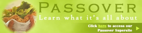Passover Site Banner (465 px)
