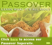 Passover Site Banner (225 px)