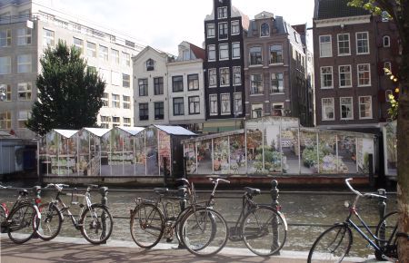 Bikes parked next to one of Amsterdam&#39;s famous canals.