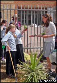 A UVM student, right, helps Ohr Menachem girls decide on plants for their school’s garden.