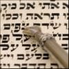 What Is the Midpoint of the Torah? 