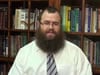 Torah in Ten: Noach