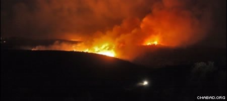 A wildfire rages out of control Thursday night in the Carmel Forest east and south of Haifa, Israel. (Photo: IDF Spokesperson’s Office)