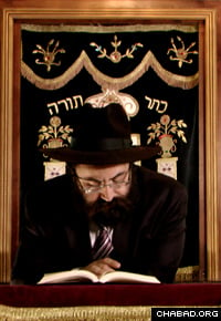 Rabbi Mendy Cohen (Photo: Ernie Amos)