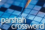 Noach Crossword