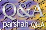 Noach Q & A