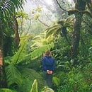 El Yunque Rainforest and Bio Bay Kayak Adventures