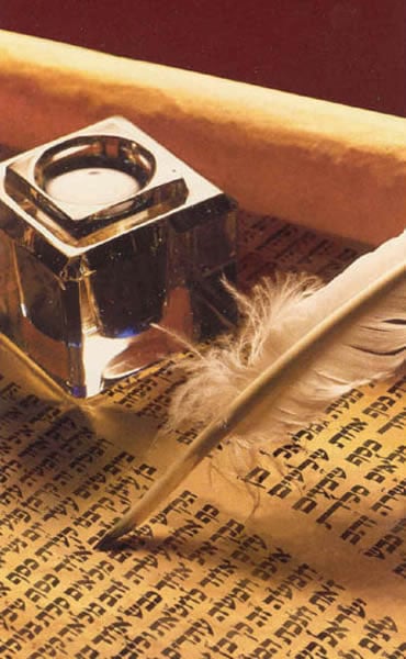 Torah Parchment