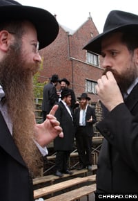 Chabad-Lubavitch emissaries from Ukraine and Norway confer in New York. (File photo: Tine Fineberg)
