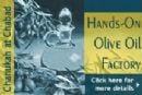 Olive Oil Workshop