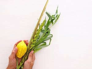 Lulav and Etrog - "The Four Kinds"