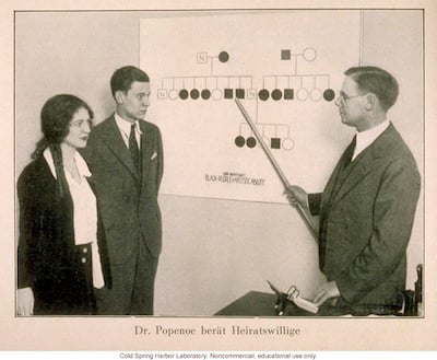 German photo of Paul Popenoe showing a couple a pedigree of &quot;Black People of Artistic Ability.&quot;