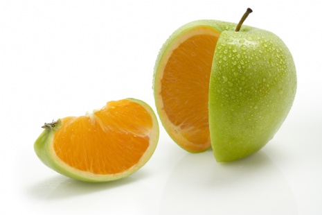 Apple and orange.jpg