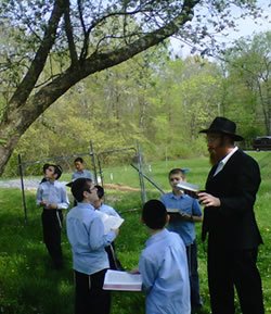  Rabbi Schtroks with students on a field trip to recite the blessing on fruit trees.