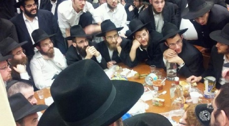 Kinus2.jpg