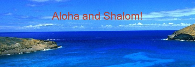 Aloha and Shalom banner
