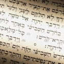 Gallery: Sefer Torah Dedication