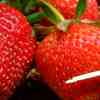 Как правильно есть ягоды и фрукты?