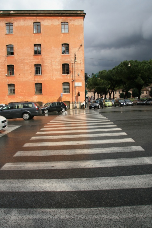 road crossing.jpg