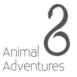 Animal adventures.jpg