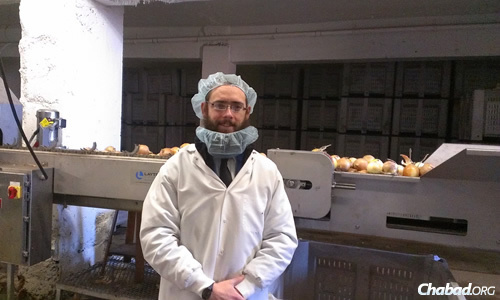 Rabbi Yonah Grossman spent part of his time before Passover supervising the packaging of onions.