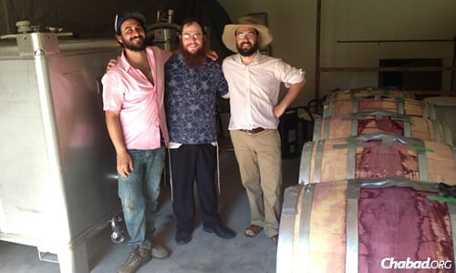 Ari, left, and Ezra Cipes, right, supervised the making of the wine in the Cipes' family garage, which happens to be the original Summerhill wine cellar. Hecht is in the middle.