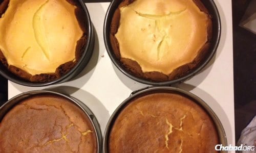 Hot from the oven: Chaya Posner—co-director of Chabad of Rancho Mirage-The Torah Oasis in California with her husband, Rabbi Shimon Posner—made 12 different varieties of cheesecakes, including the ones shown here, for the holiday.
