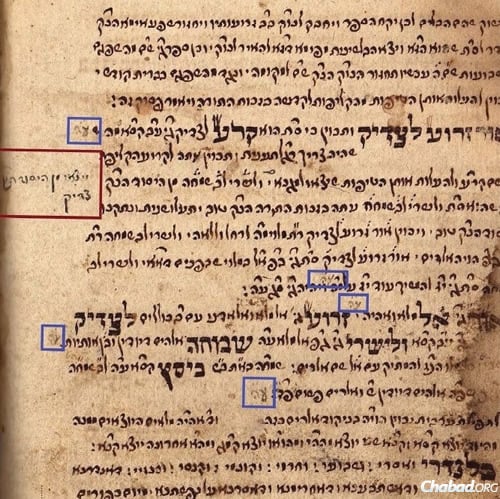 Page from a manuscript prayer book used by the second leader of the Chassidic movement, Rabbi DovBer of Mezritch. Highlighted in red is a marginal note in the handwriting of Rabbi Schneur Zalman of Liadi; highlighted in blue are marginal notes in the hand of Rabbi Yisrael, the Maggid of Koznitz. (Photo: Private collection/Courtesy 19kislev.co.il)