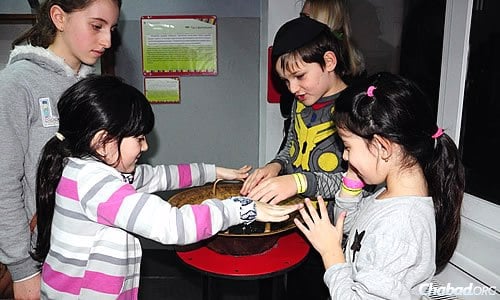 Kids experiment with exhibits at the science museum.