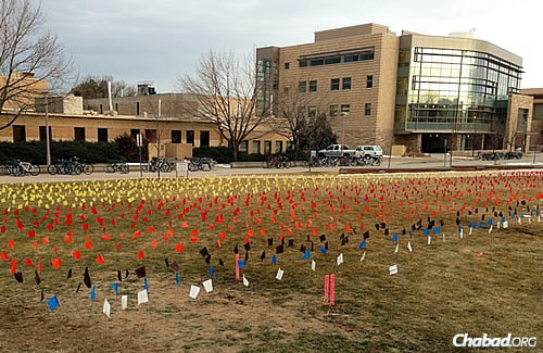 The “Field of Flags” on the grounds of Colorado State University; each one represents 5,000 Jewish lives lost during the Holocaust.