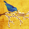 L’oiseau bleu enchanteur