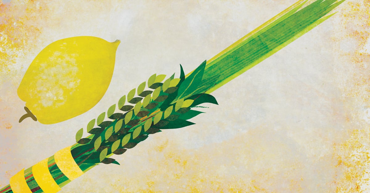 The,Lulav,and,Etrog:,The,Four,Kinds,Expressing,Our,Unity, Four Kinds, The S...
