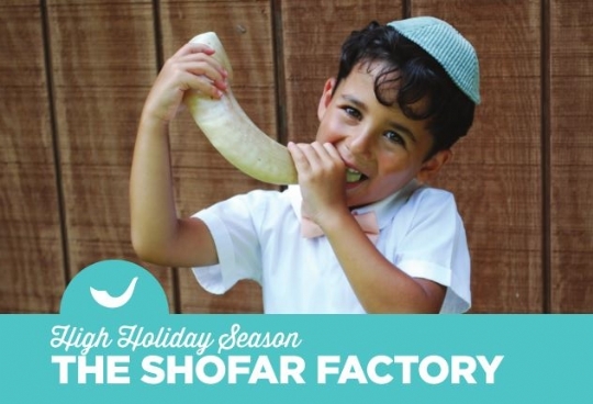 shofar factory.jpg