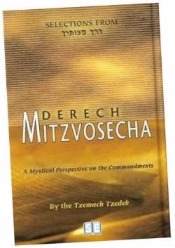 Selections of Derech Mitzvotecha were rendered by Rabbi Eliyahu Touger into English and published by Sichos in English in 2004.