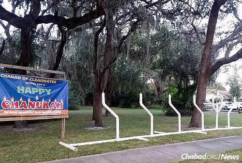 In Clearwater, Fla., Rabbi Levi Hodakov, co-director of Chabad of Clearwater with his wife, Miriam, has constructed what he believes to be the world’s longest menorah. At 44 feet long, the menorah made out of PVC piping corresponds to the 44 candles lit during the course of the holiday each year.