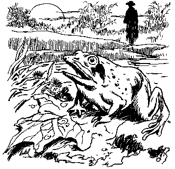 "Le Maguid s’arrêtait près de l’étang pour écouter le chant des grenouilles."